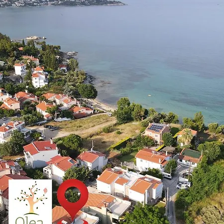Olea Palio Vila PalaiónTsiflíkion
