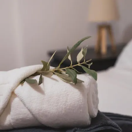 Olea Palio Vila PalaiónTsiflíkion